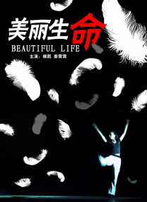 爱逼综合